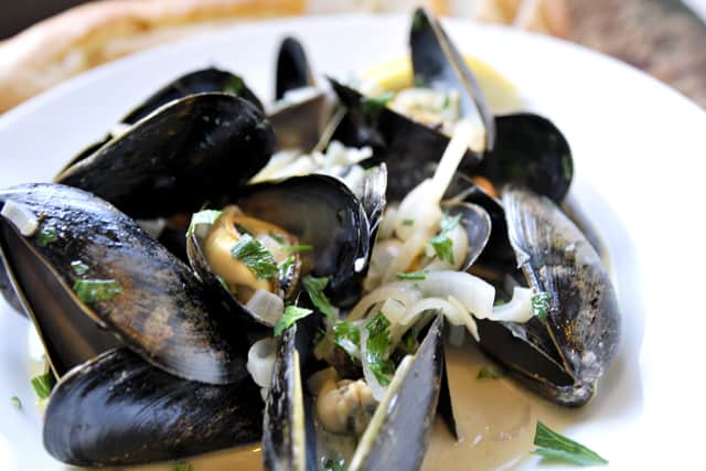 Black Mussels White Wine Recipe