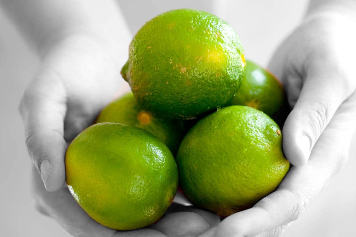 Limes