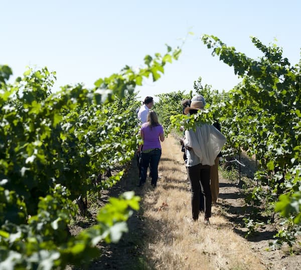 Columbia Crest listening to winemaker