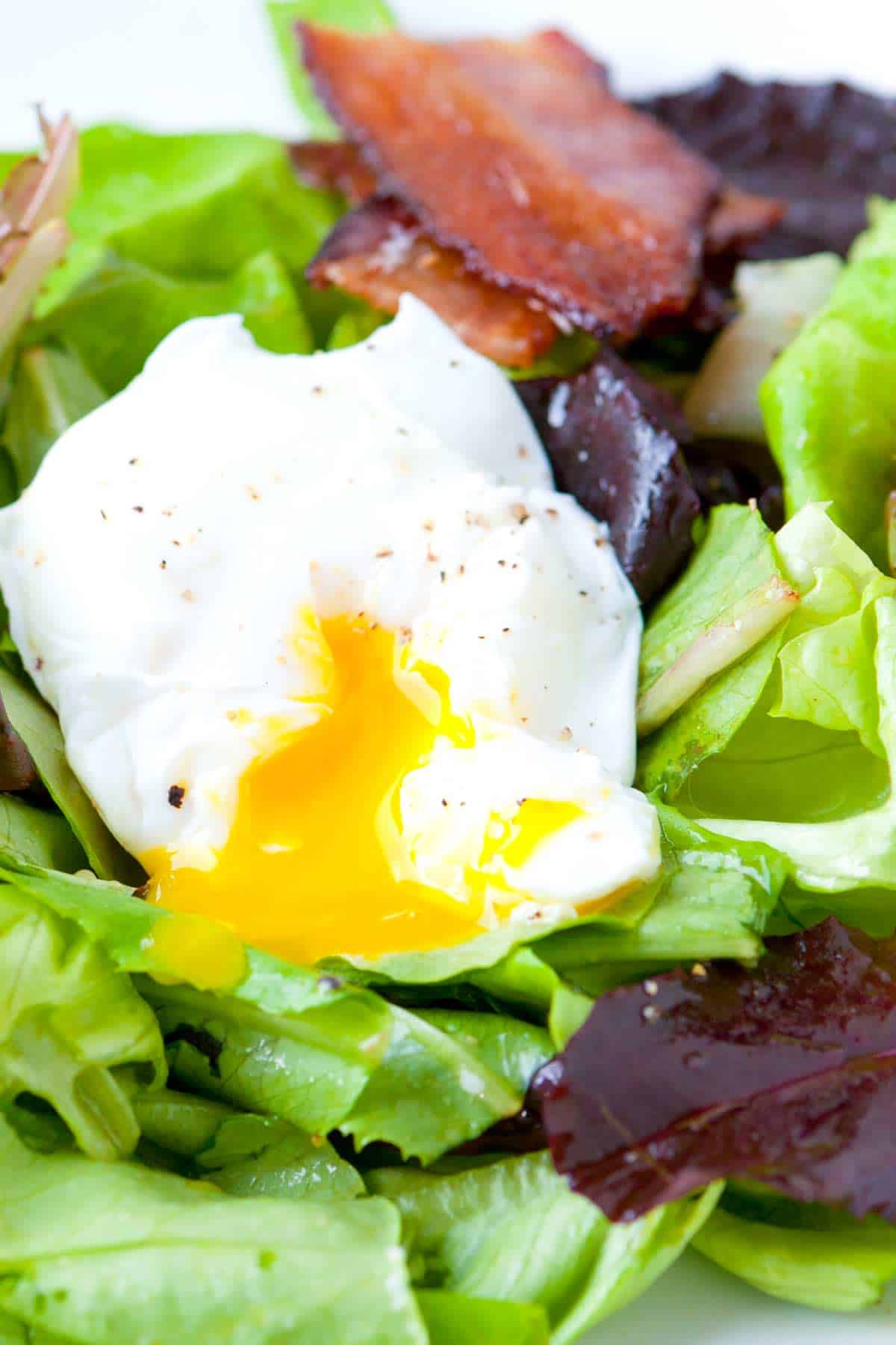 Apple Cider and Smoked Olive Oil Vinaigrette Apple Cider and Smoked Olive Oil Vinaigrette
