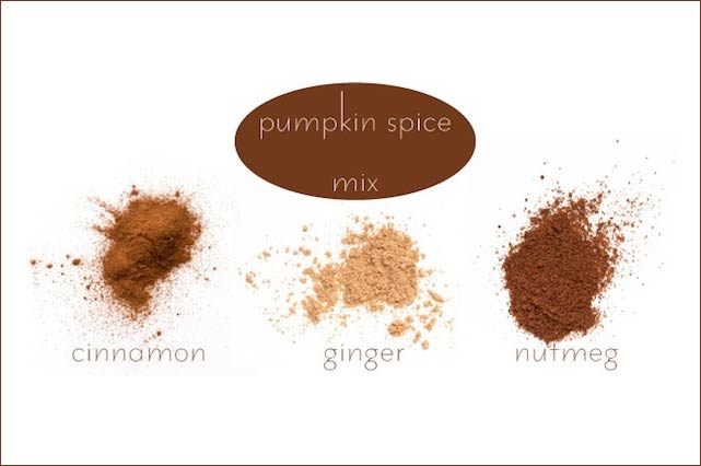 Pumpkin Spice Mix