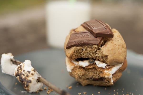 Mache Magazine fall smores