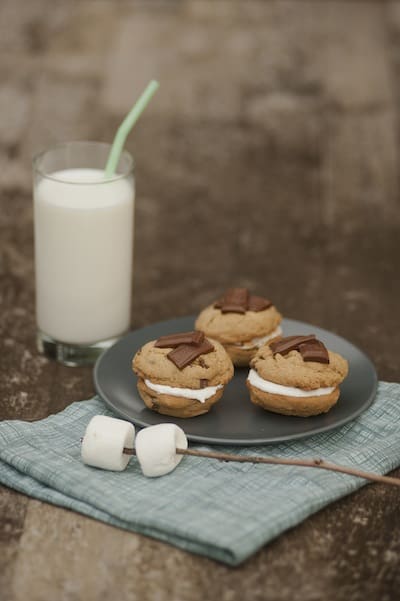 Mache Magazine fall smores