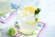 Rosemary Gin Fizz Cocktail