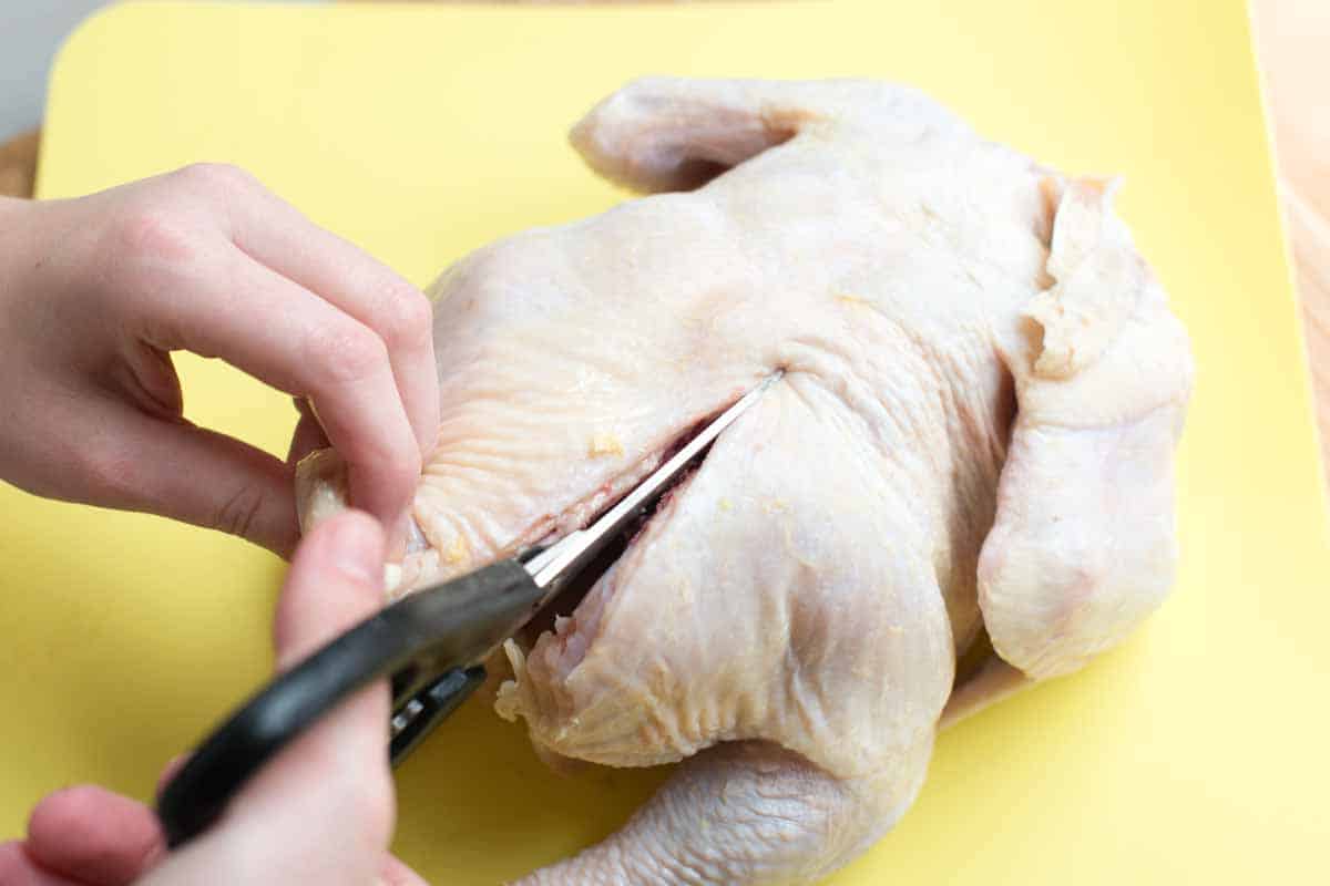Rosemary Roasted Butterflied Chicken with Vegetables How to Butterfly a Chicken