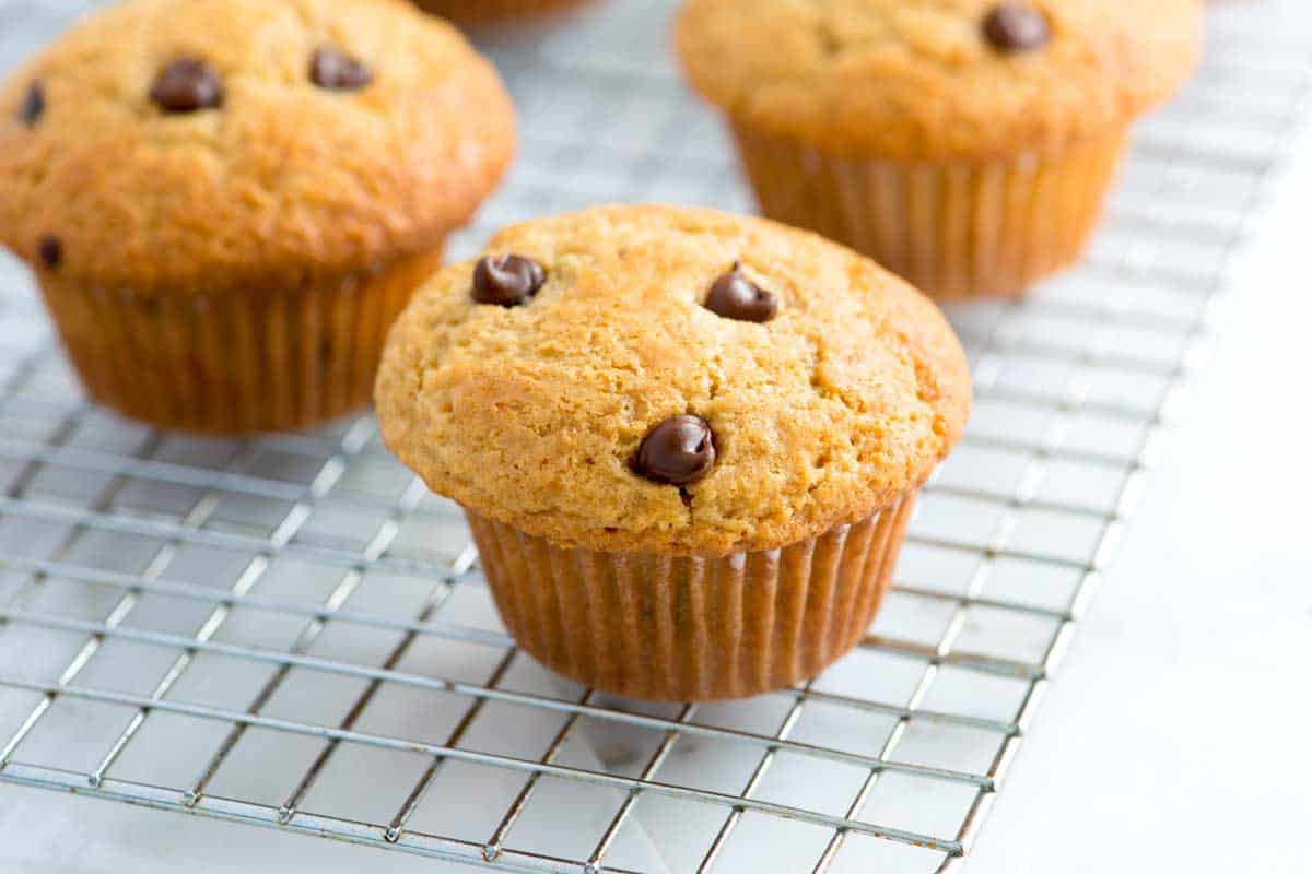 Easy Chocolate Chip Muffins Recipe Homemade Chocolate Chip Muffins
