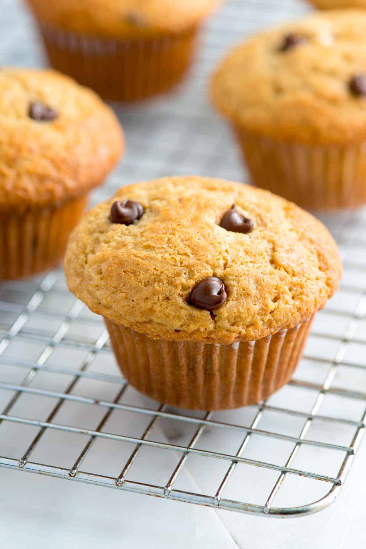 Muffins with chocolate chips