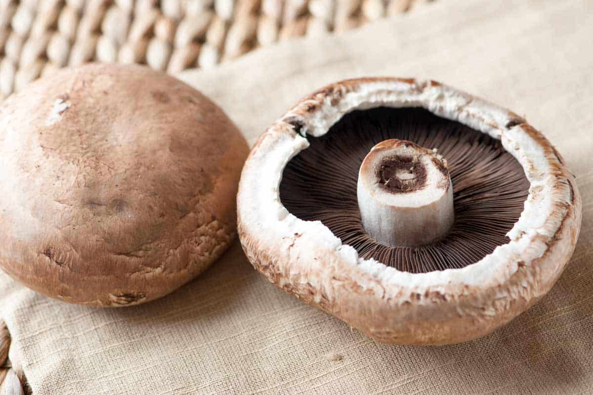 A Crash Course in Portobello Mushrooms