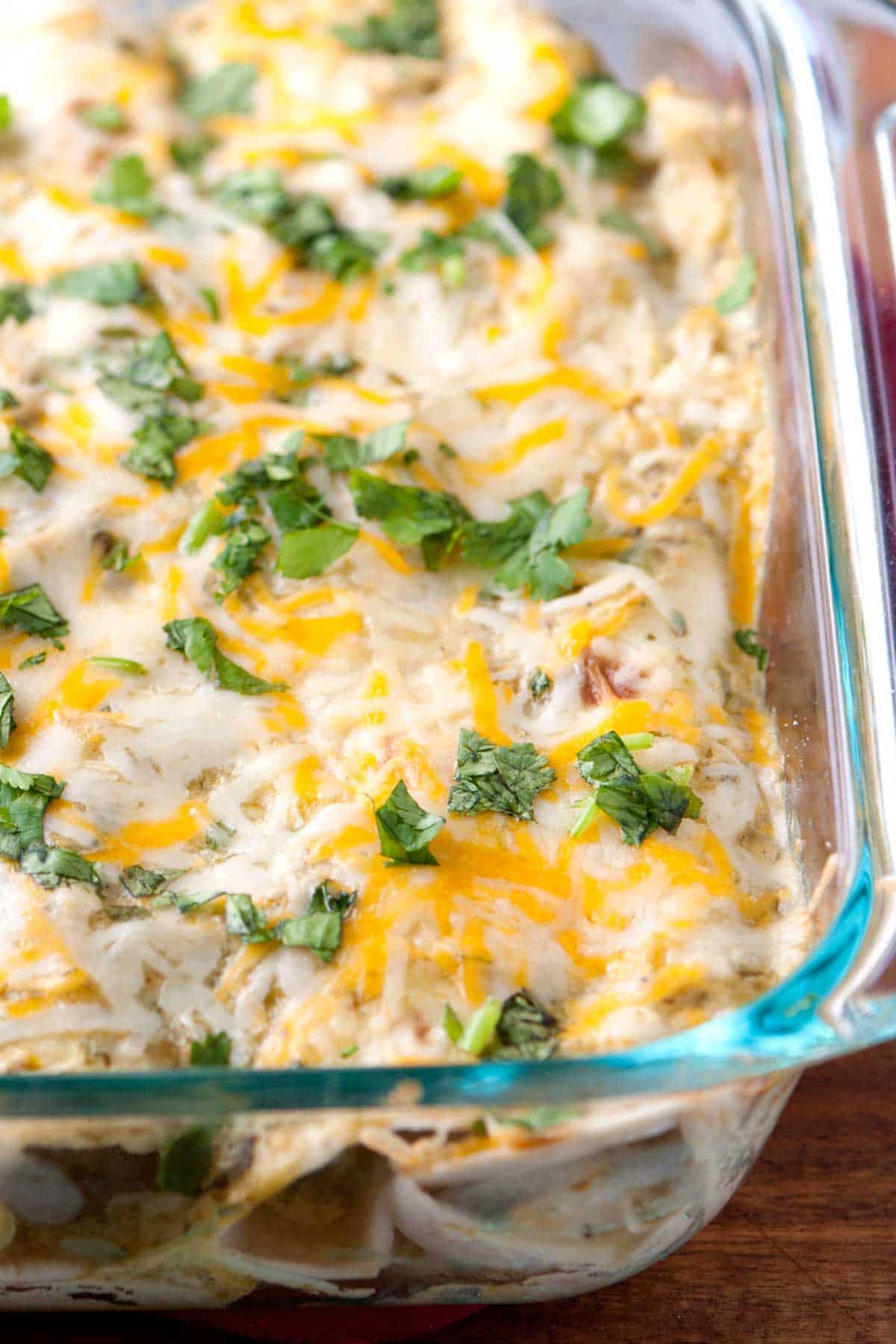 Creamy green chicken enchiladas made with a green chile enchilada sauce.