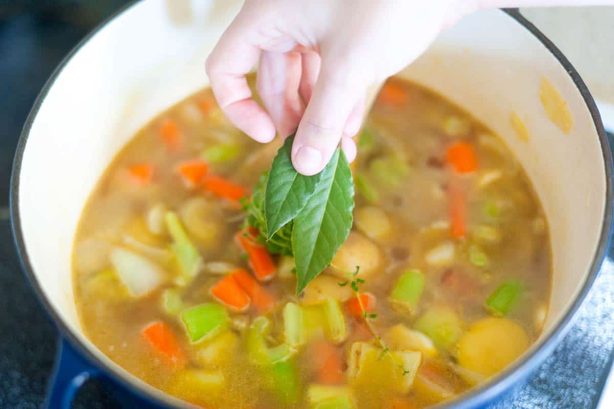 Easy Creamy Vegetable Soup