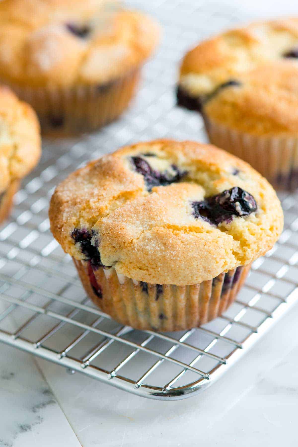 freshly baked blueberry muffins sitting on a cooling rack