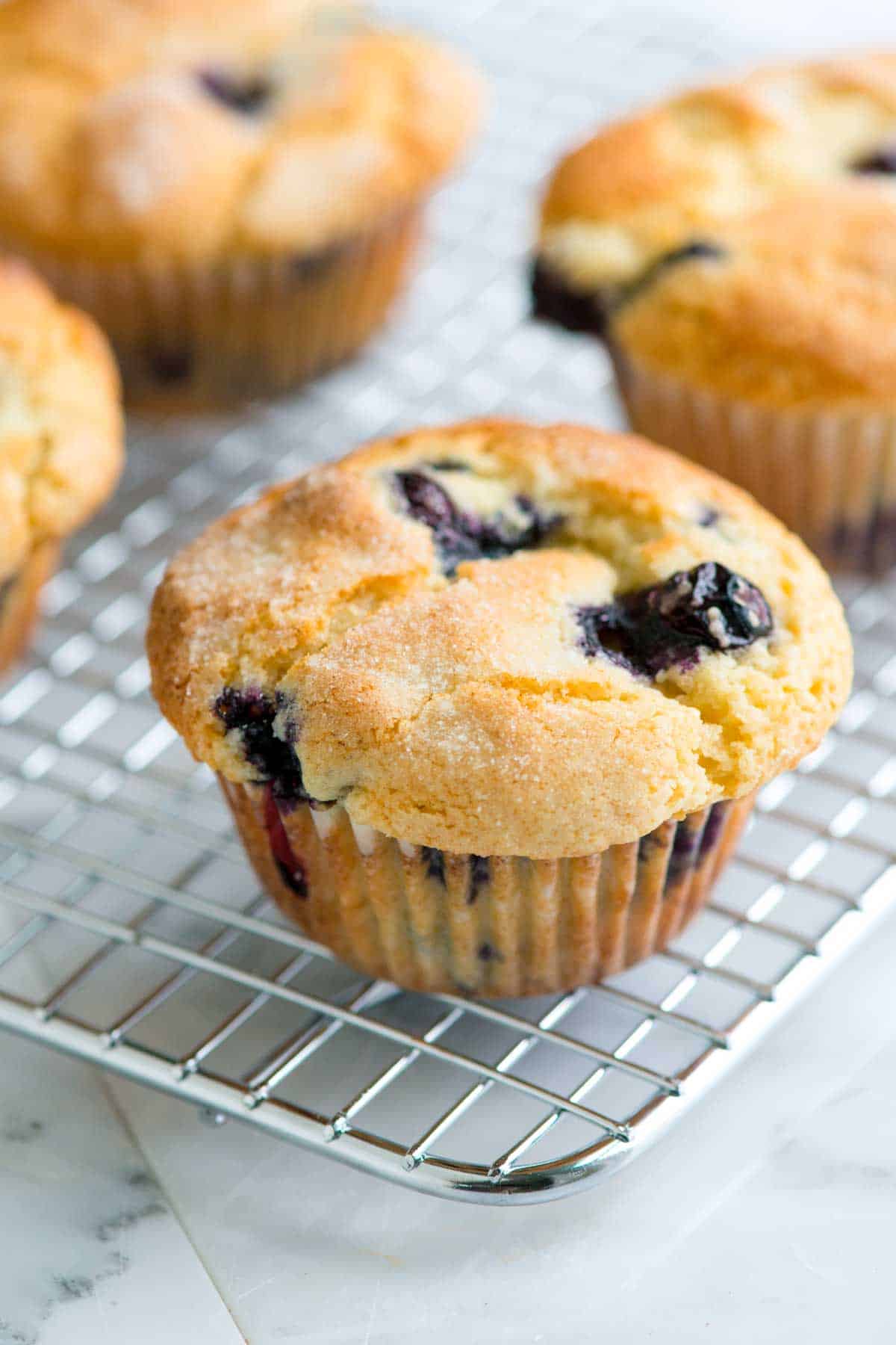 Image of A blueberry muffin