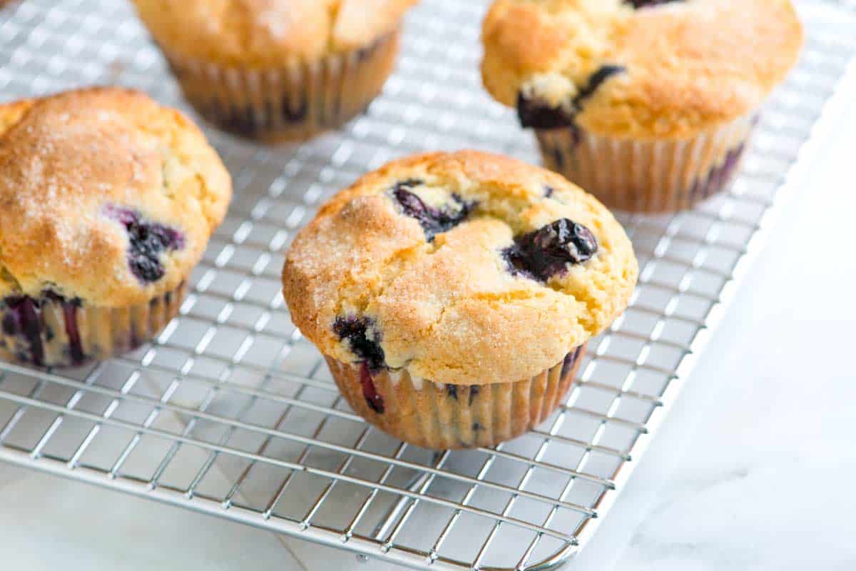 Wild Blueberry Mini-Muffins Recipe 