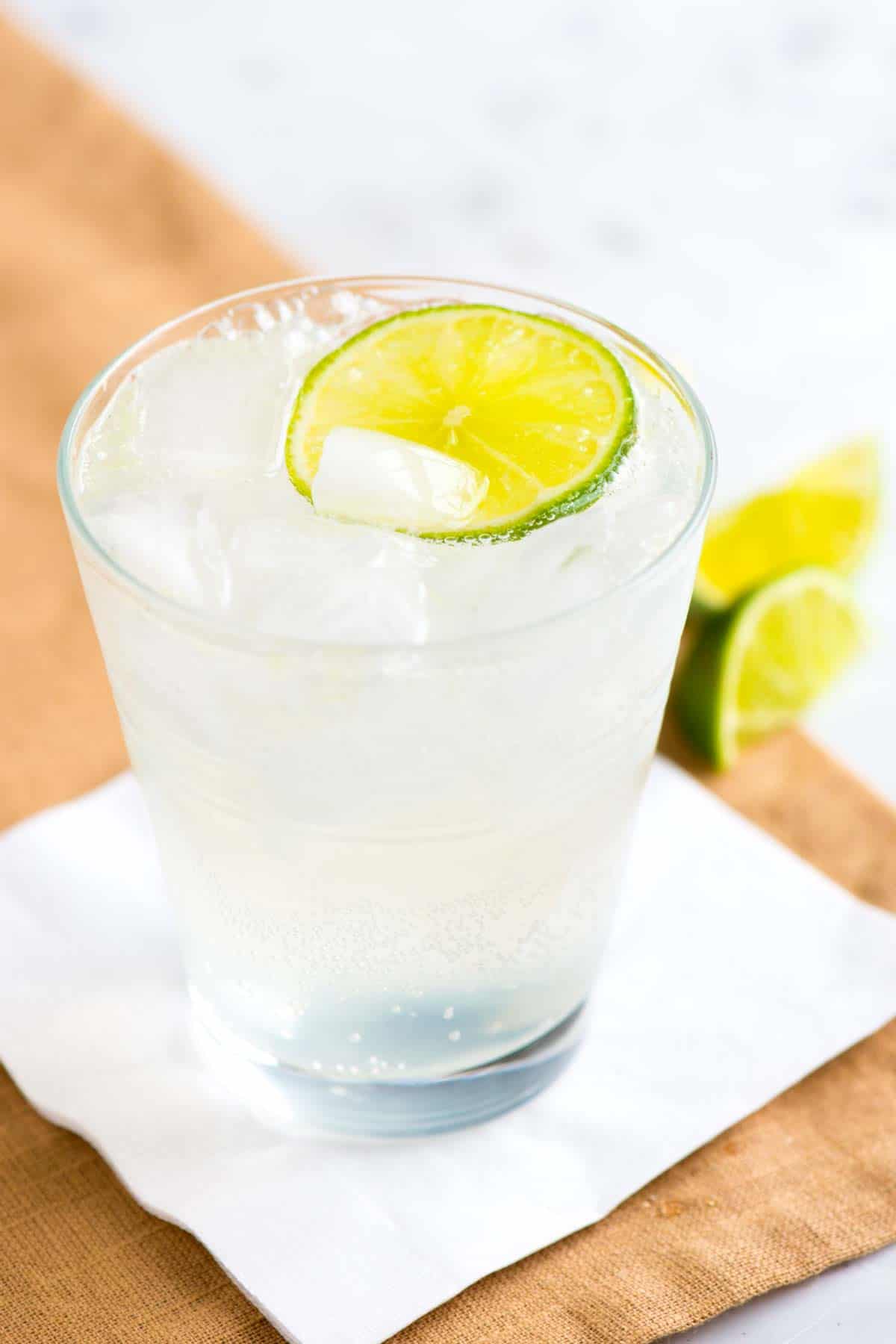 Gin And Tonic Recipe