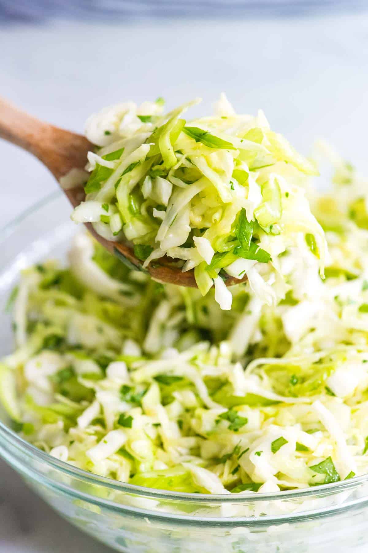 Mayo-Free Coleslaw