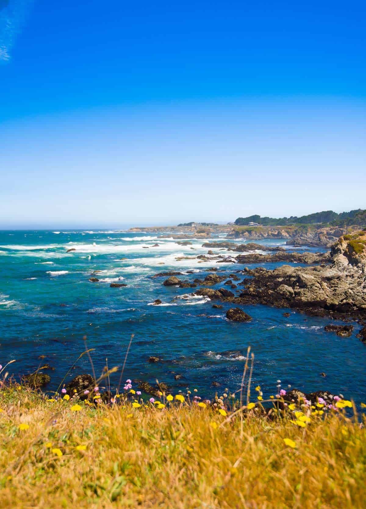 Traveling to Mendocino County, California 