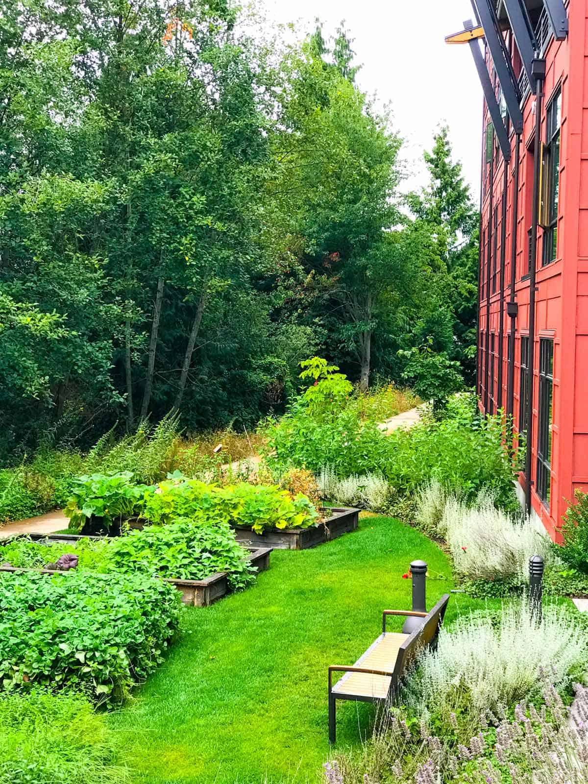 Our room at Cedarbrook lodge was on the second floor overlooked the Chef's vegetable and herb garden.