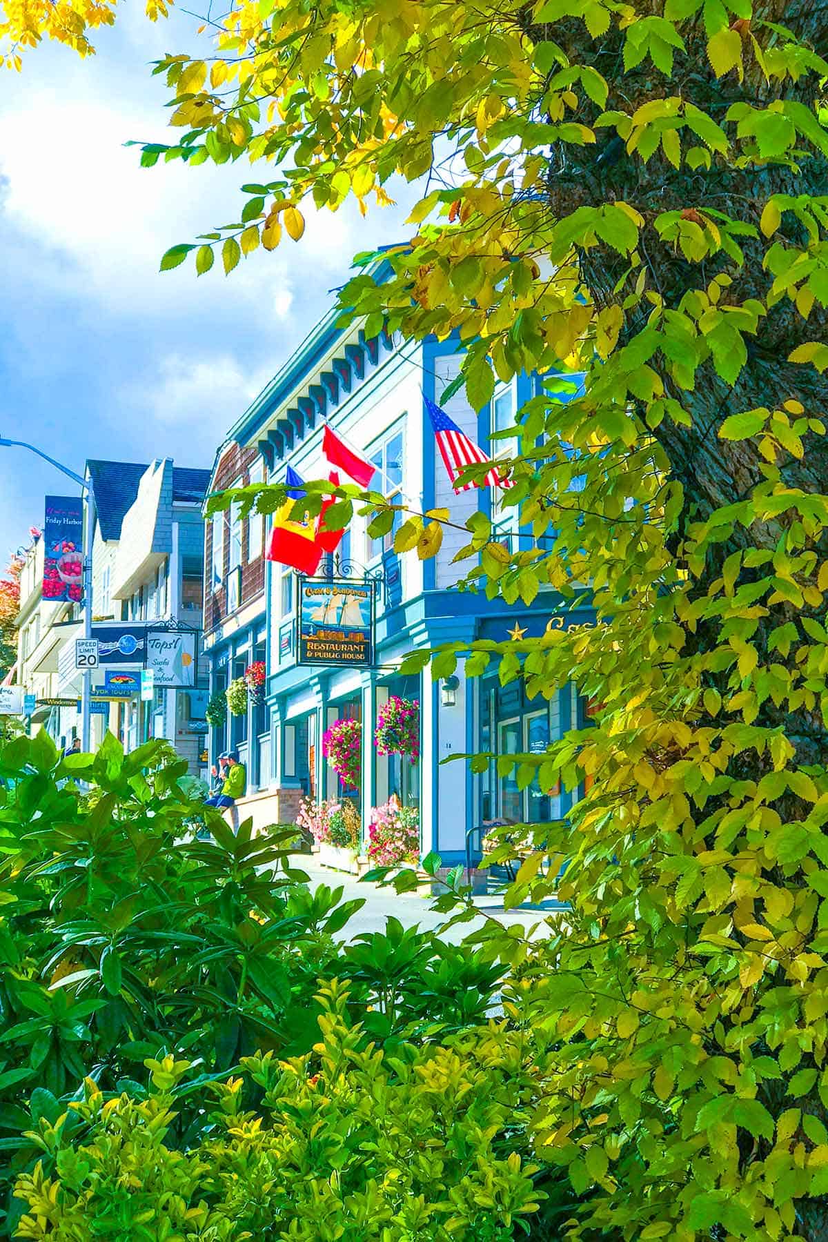 Lovely Friday Harbor on San Juan Island