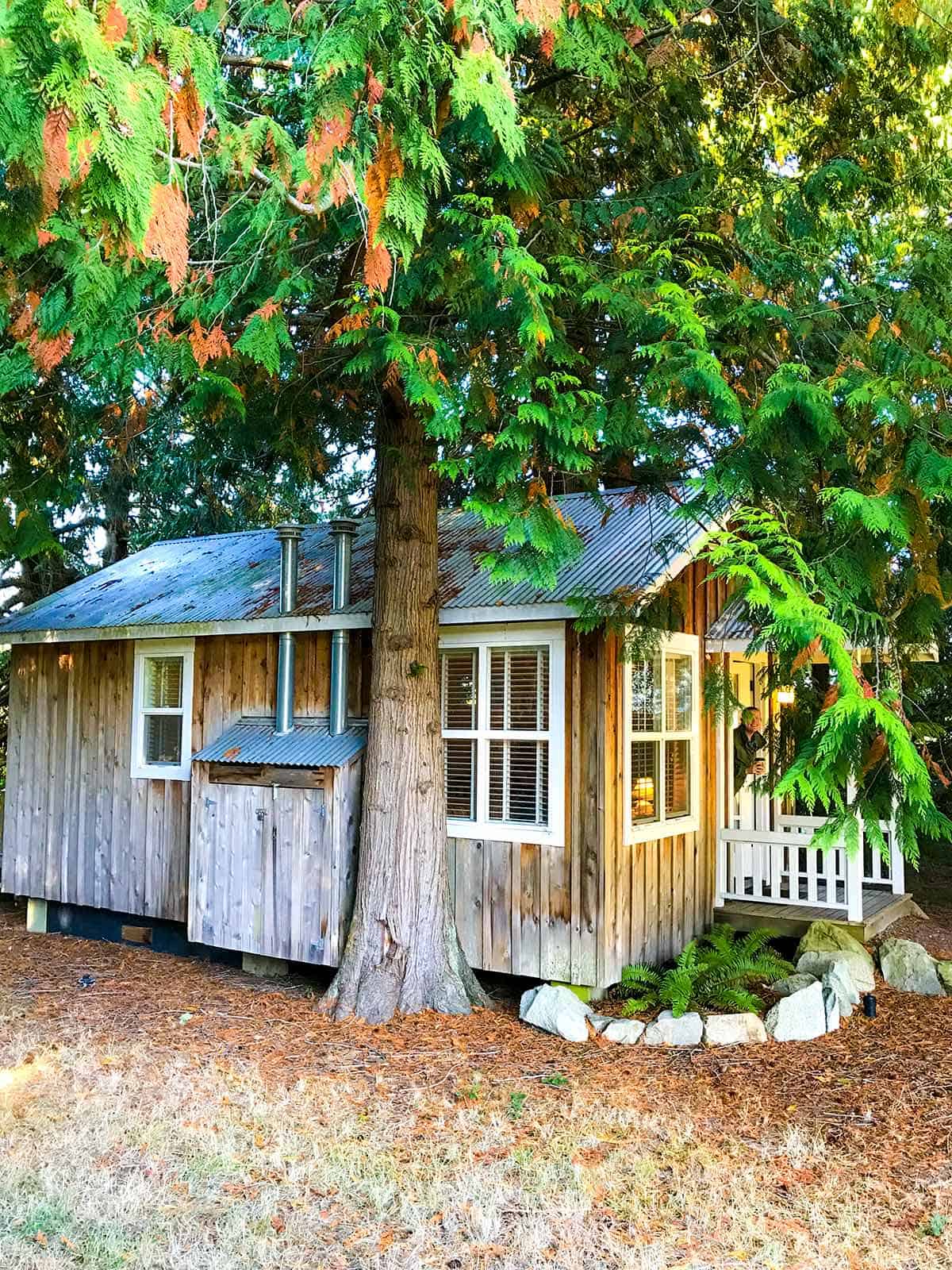 Our Cottage at Lopez Farm Cottages -- We loved it!