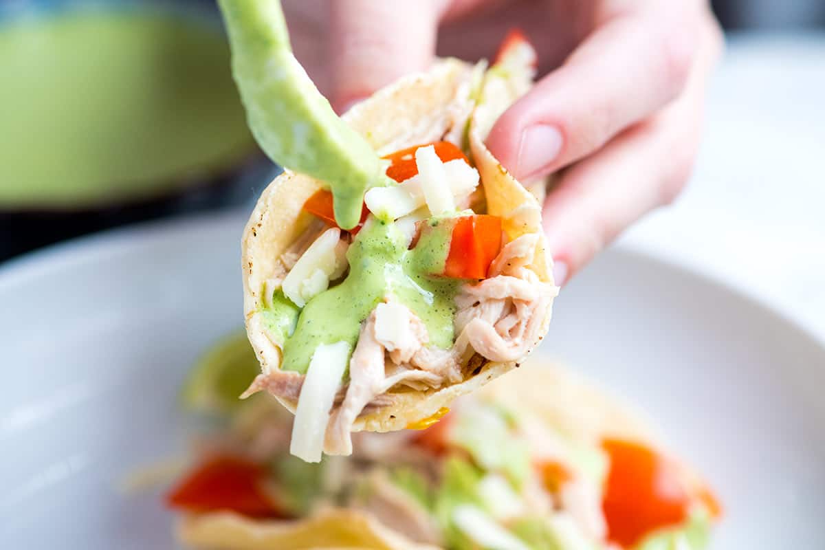 This easy shredded chicken tacos recipe is full of flavor thanks to well seasoned chicken and a bright and creamy cilantro sauce.