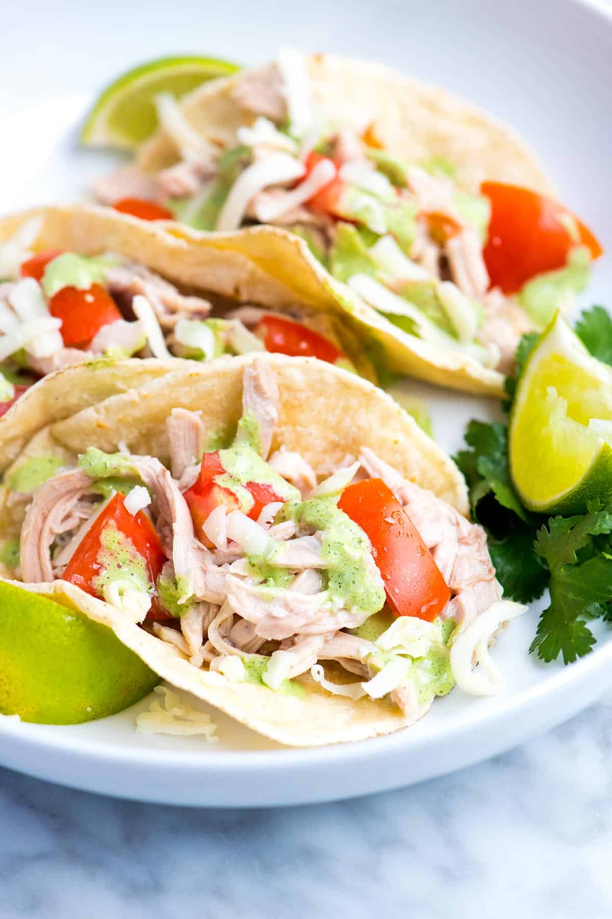 This easy shredded chicken tacos recipe is full of flavor thanks to well seasoned chicken and a bright and creamy cilantro sauce.