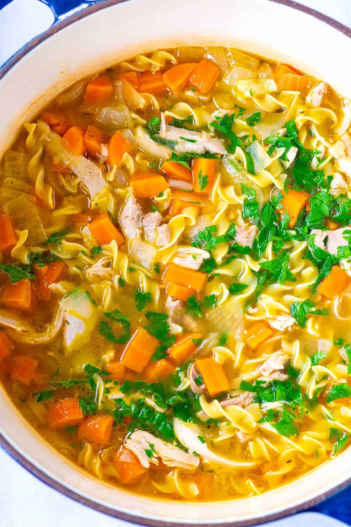 Pot of homemade chicken noodle soup