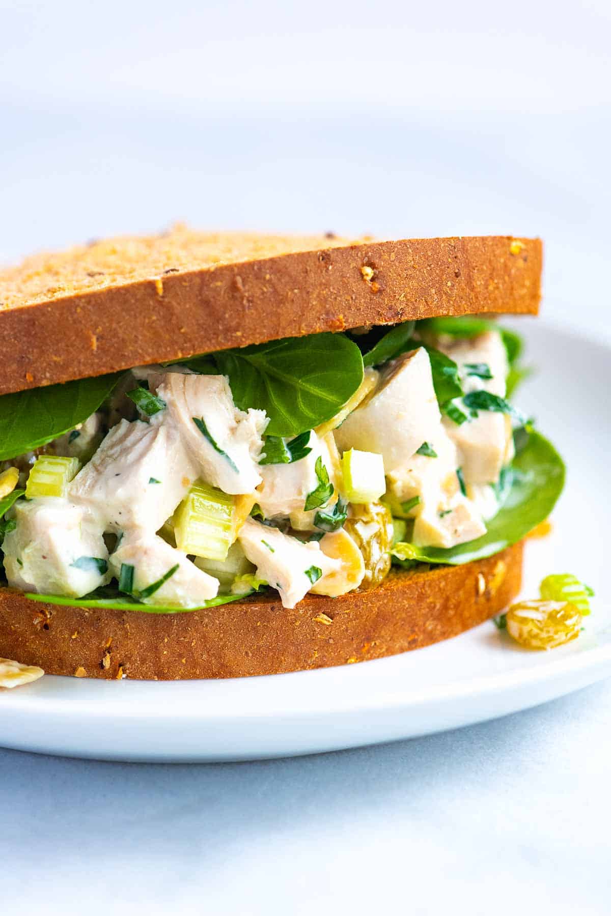 Chicken Salad sandwich