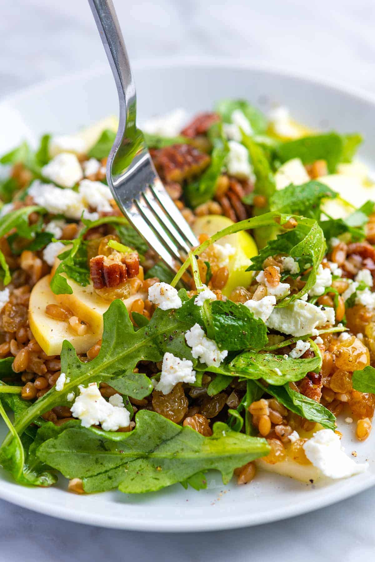 farro salad made with cooked farro, sweet apples and greens