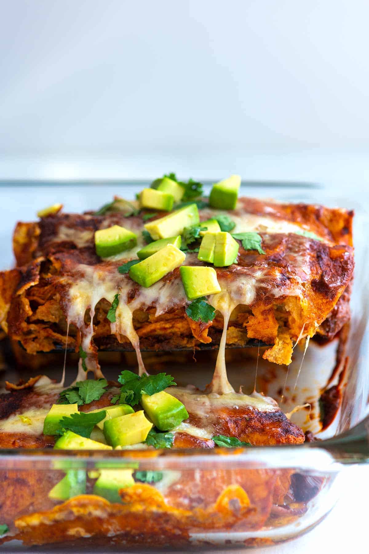 Serving chicken enchiladas with red sauce