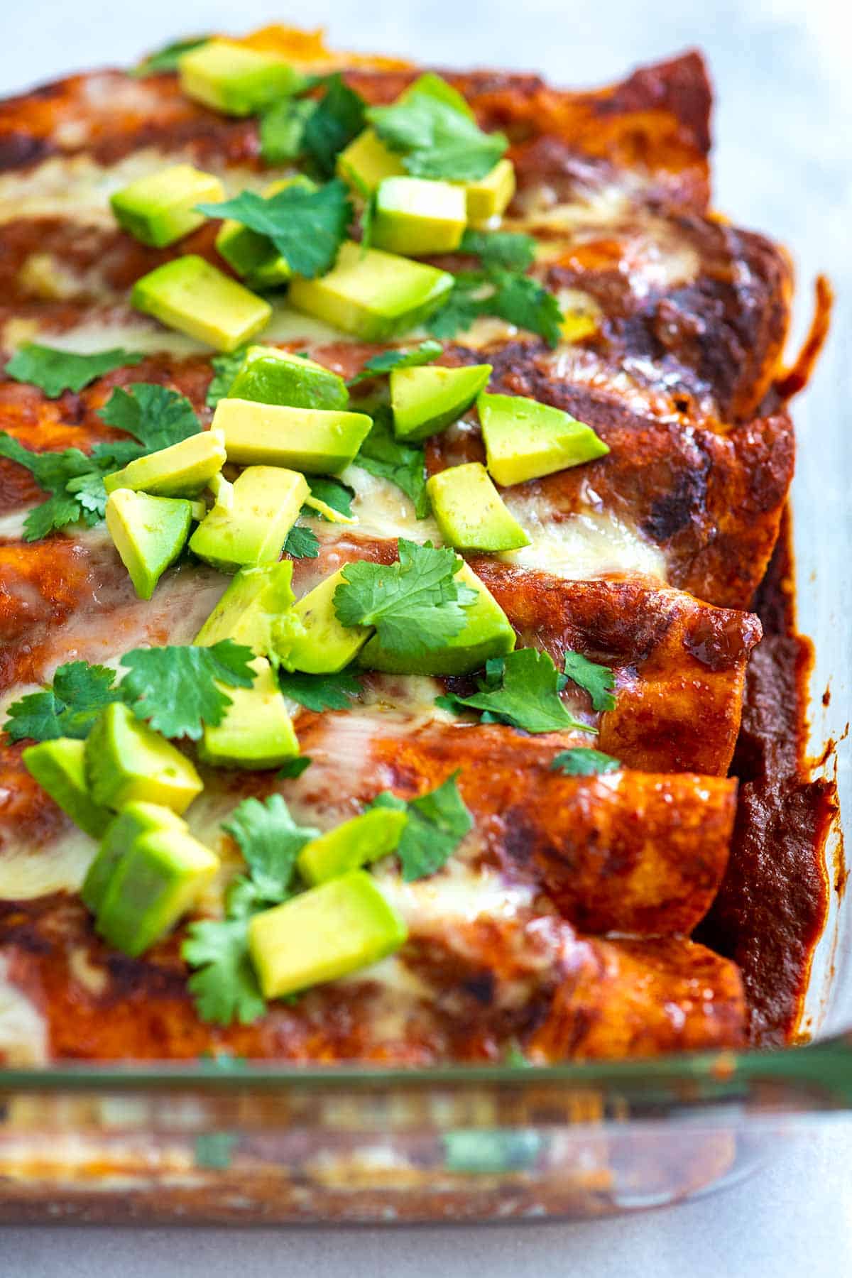 Chicken enchiladas with authentic red sauce