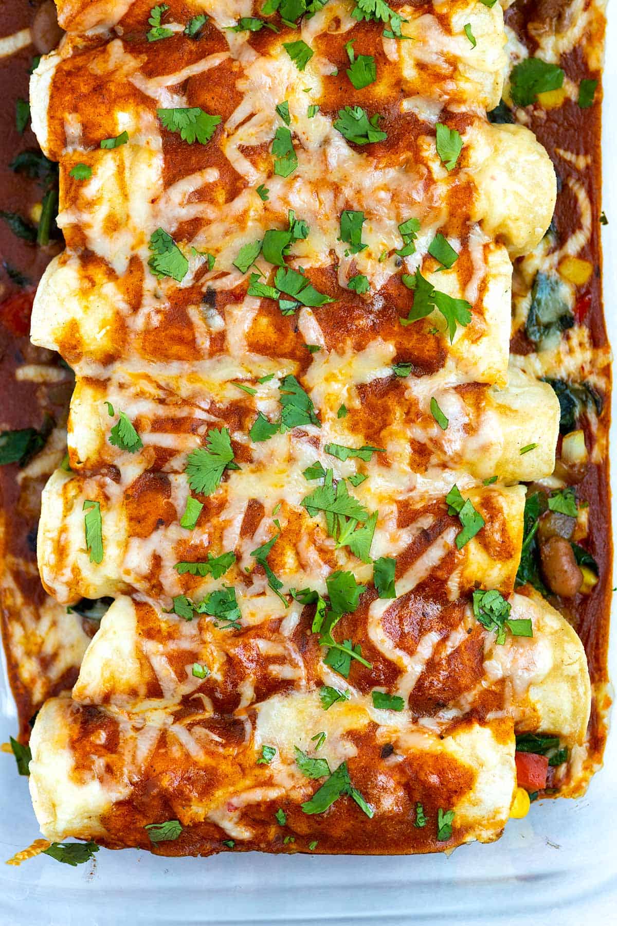 Veggie enchiladas rolled up and baked with cheese on top
