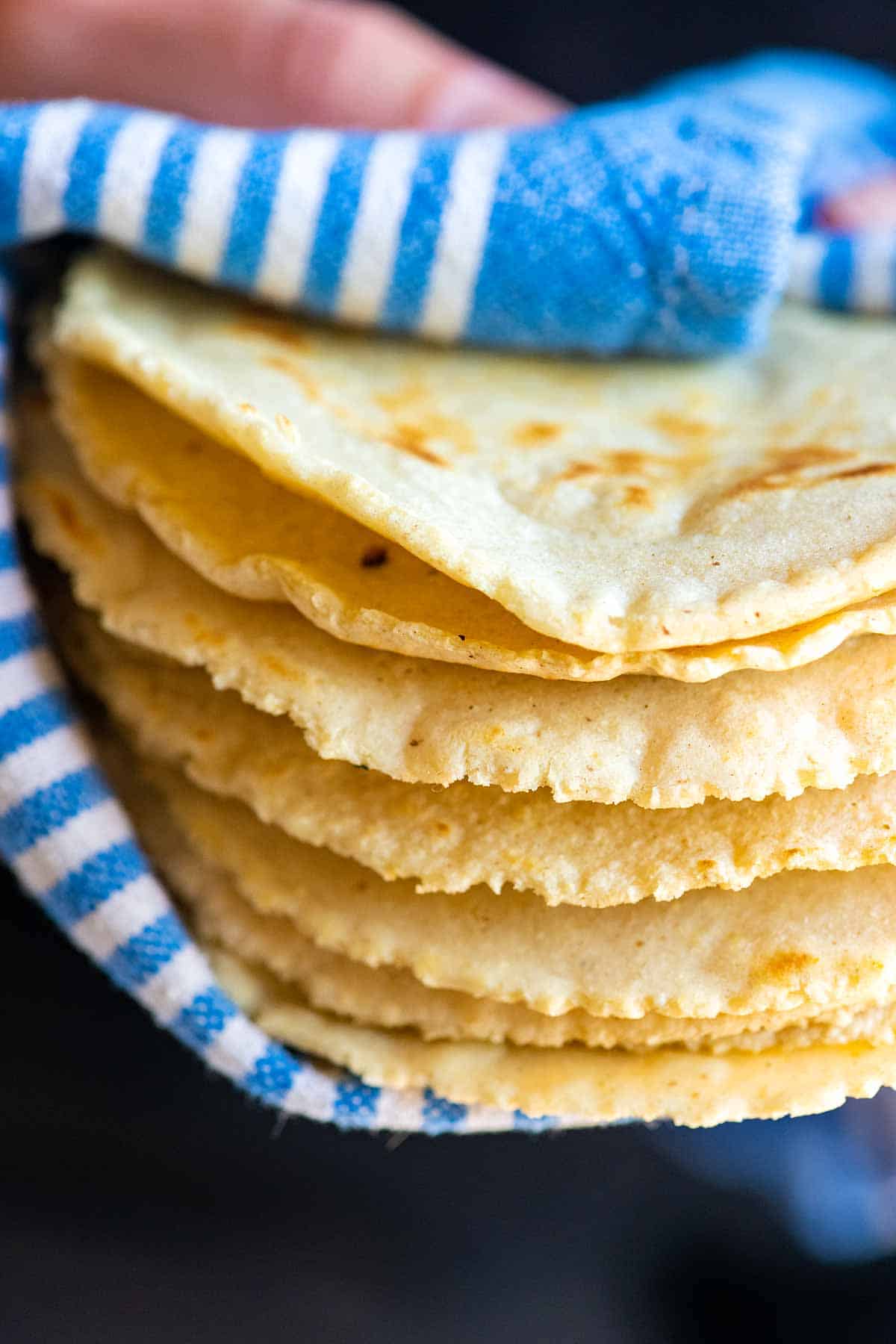 A stack of warm, freshly cooked corn tortillas