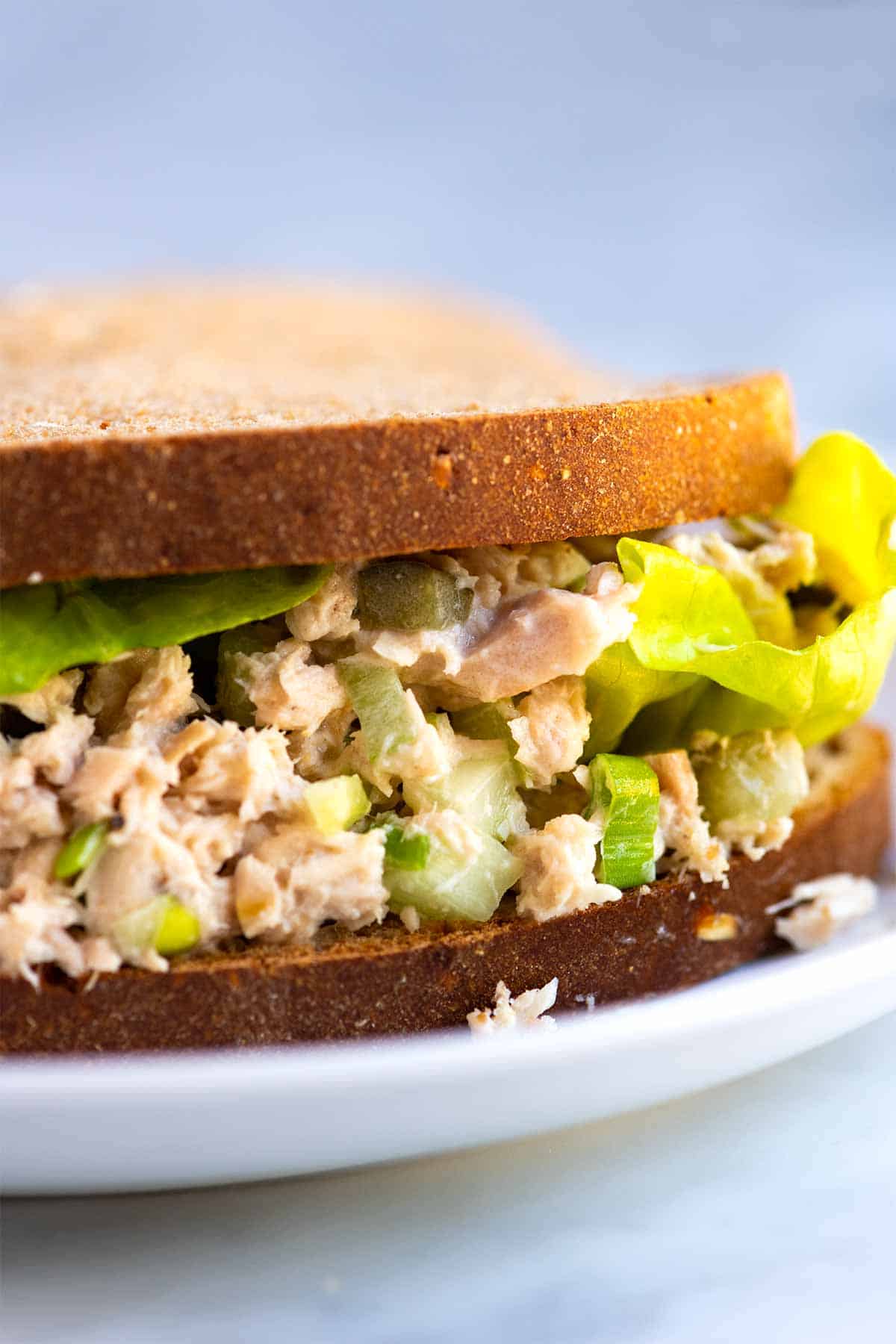 Tuna Salad Sandwich