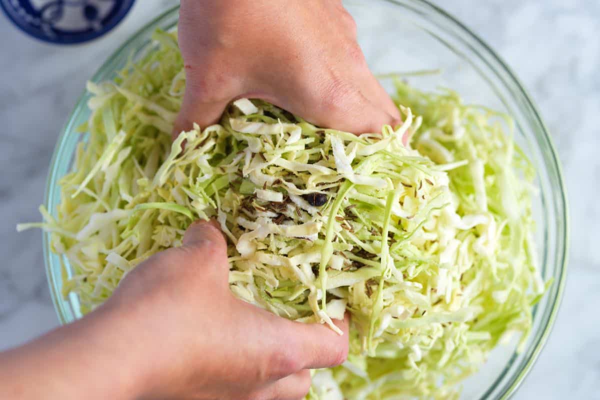 Massaging cabbage with salt and spices for a batch of quick sauerkraut