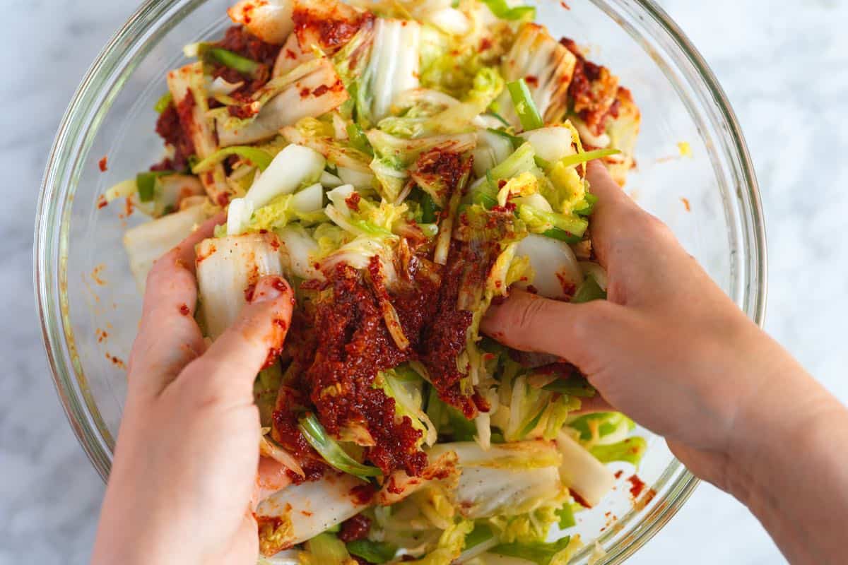 Massaging chili paste into the cabbage for homemade kimchi