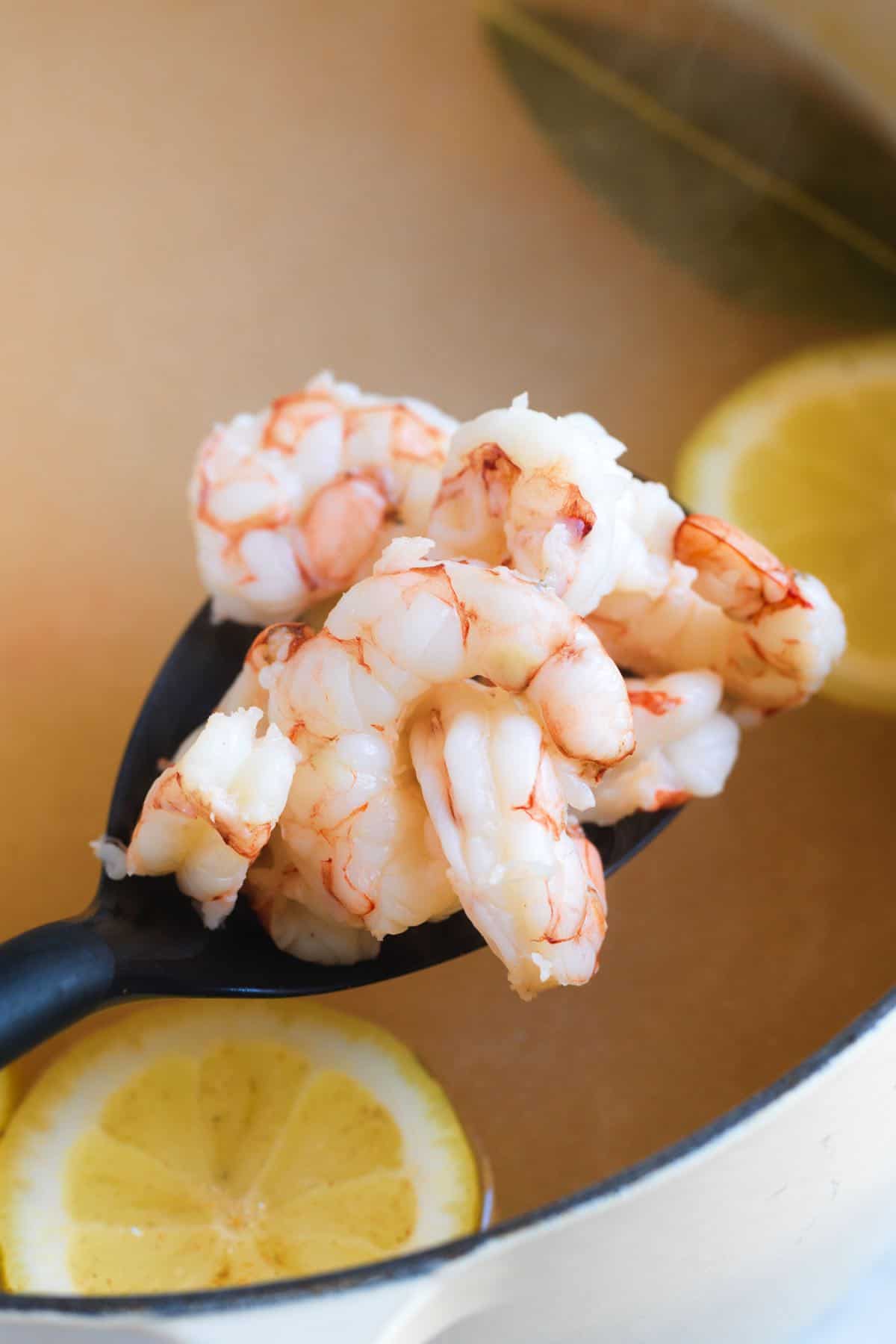 Poached shrimp coming out of the poaching liquid