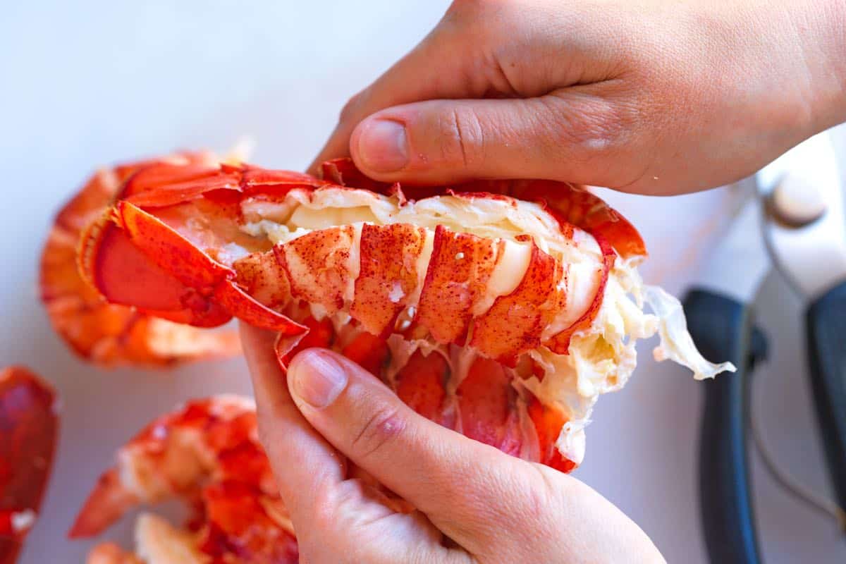 Removing meat from lobster tails
