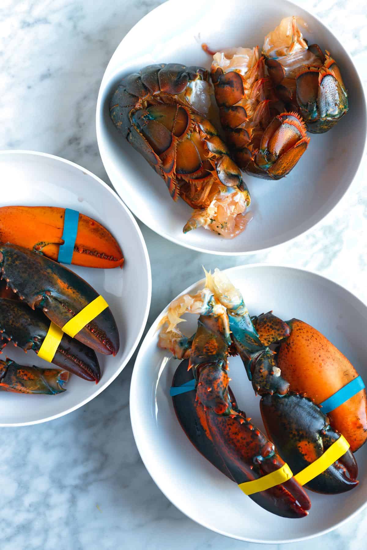 Lobster tails and claws ready to cook for lobster rolls