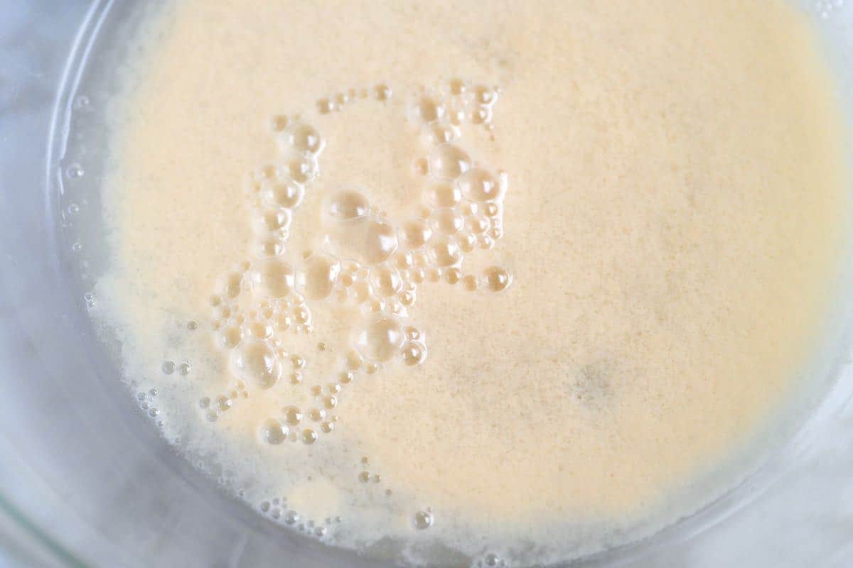 Activating yeast with warm water and sugar for homemade pita bread
