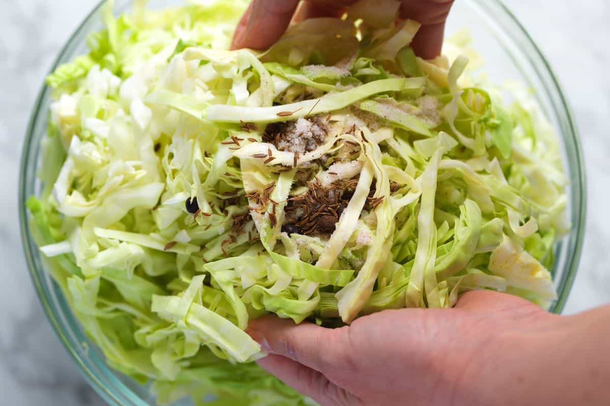 Tossing sliced green cabbage with salt and spices for sauerkraut
